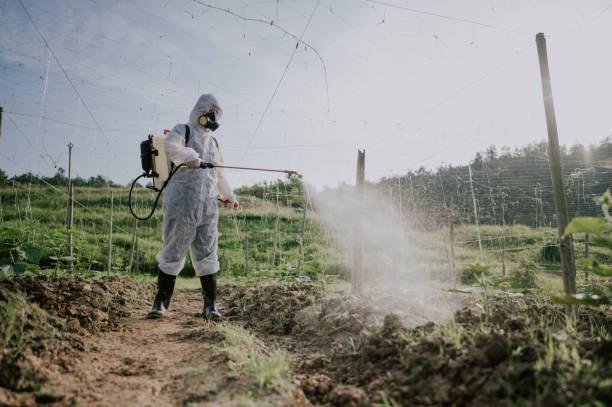 Best Pest Removal Services  in Fritz Creek, AK