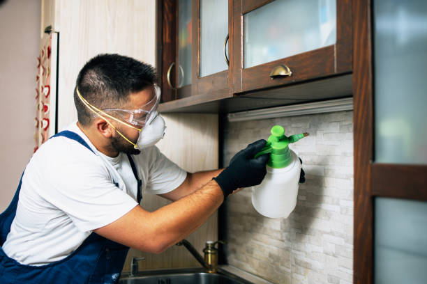 Best Flea Control Services  in Fritz Creek, AK