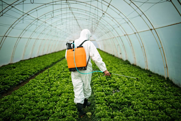 Pest Control Cost in Fritz Creek, AK