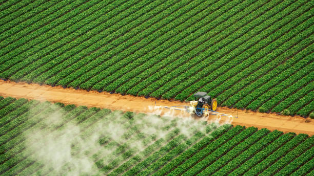 Best Pest Control Cost  in Fritz Creek, AK