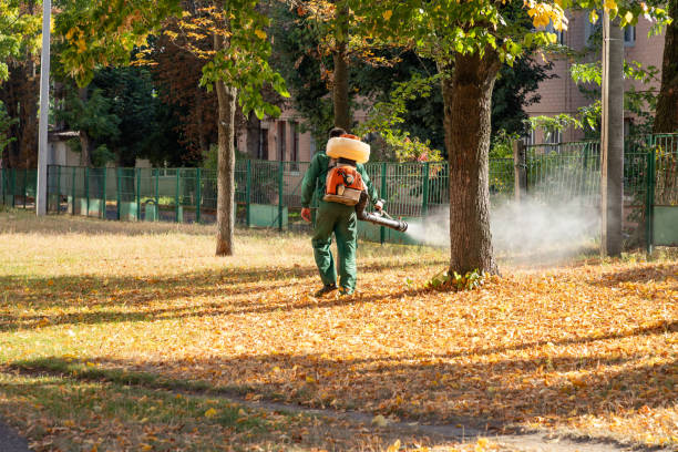 Reliable Fritz Creek, AK Pest Control Solutions