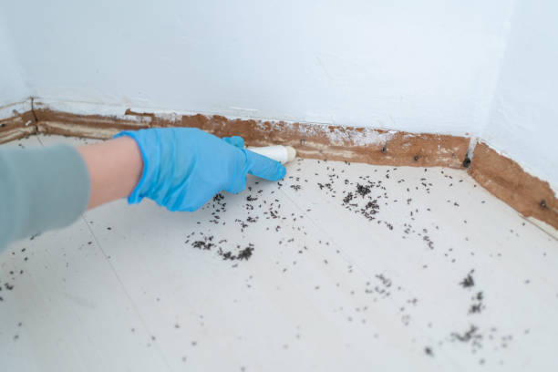 Best Wildlife Control Services  in Fritz Creek, AK